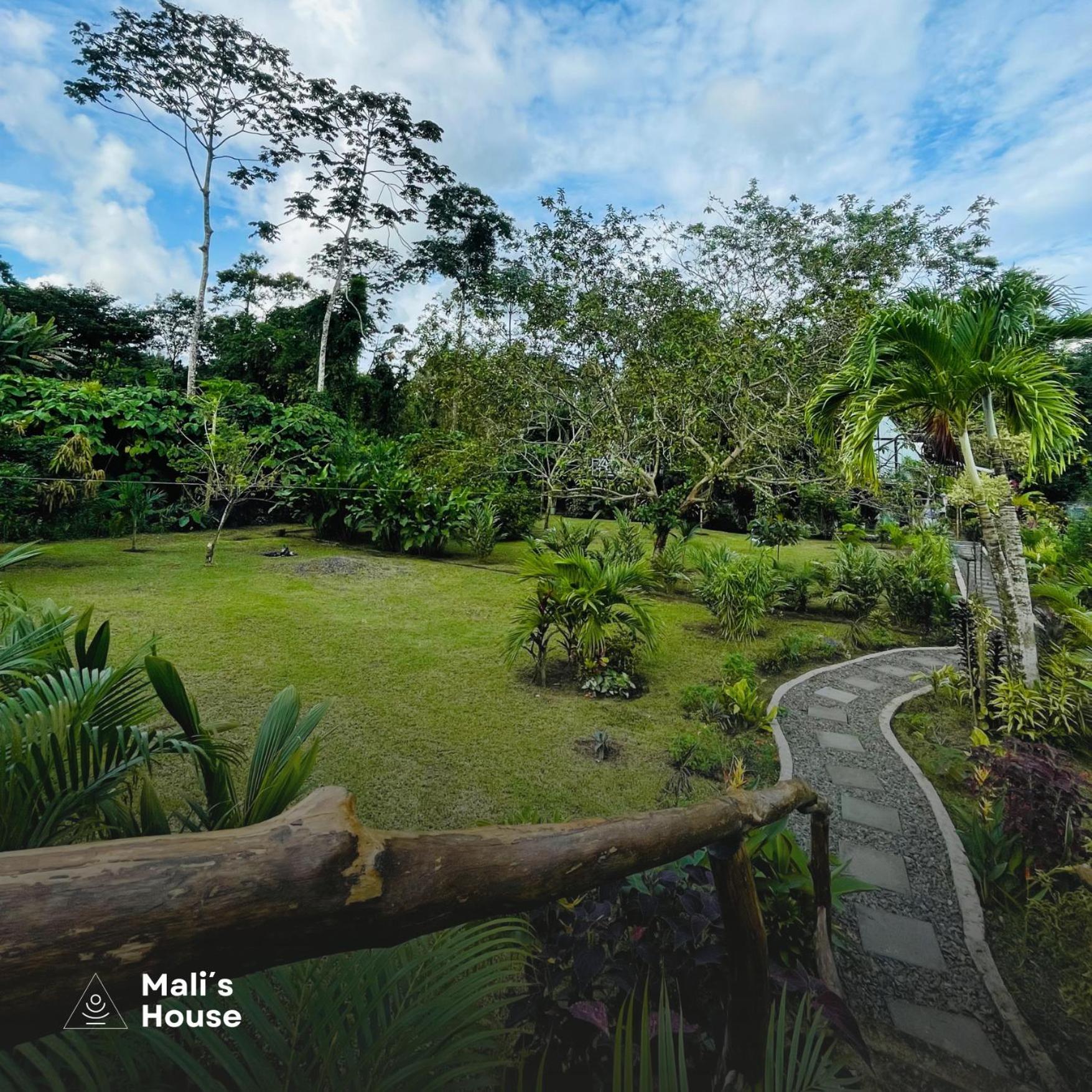 Mali'S House Hotell La Fortuna Eksteriør bilde