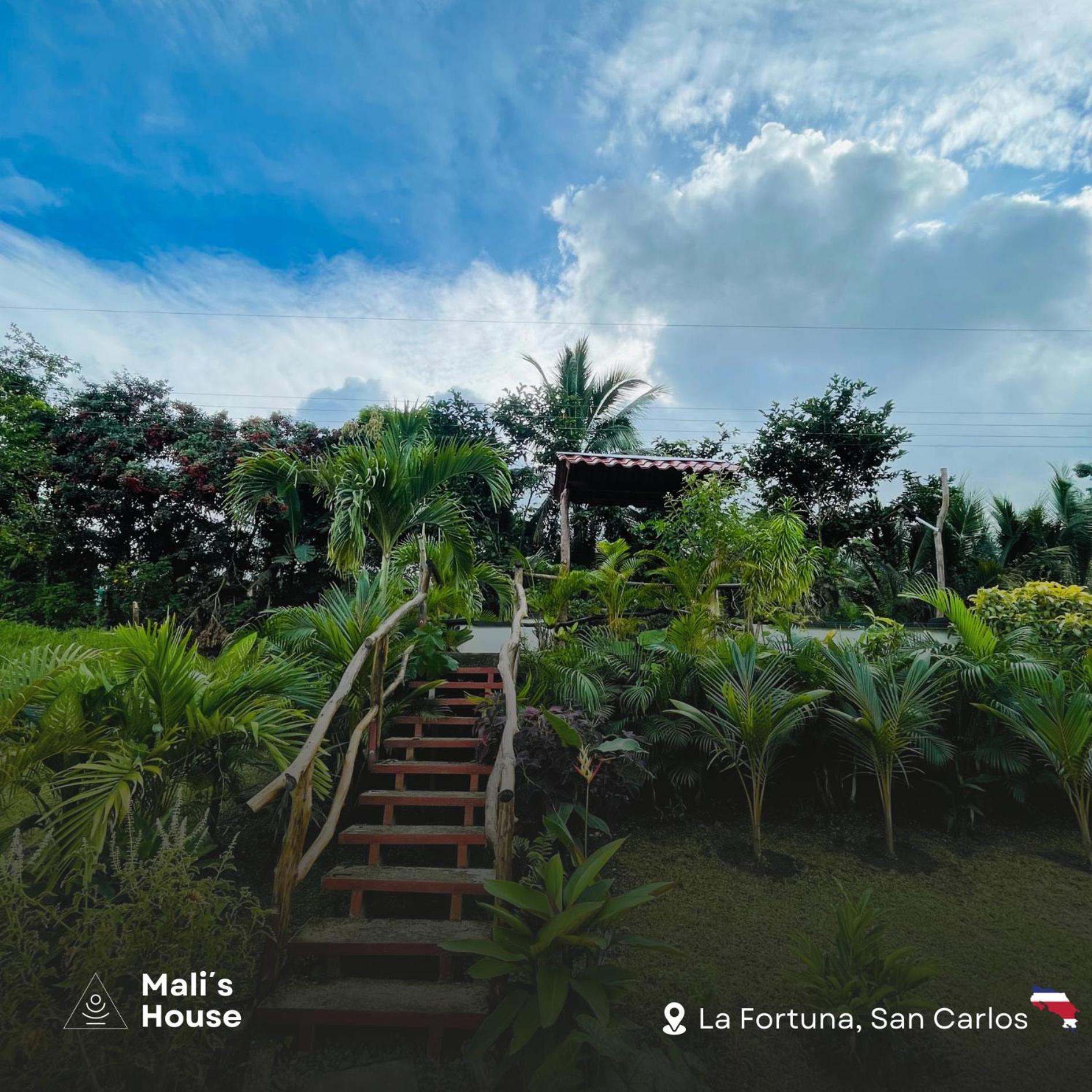 Mali'S House Hotell La Fortuna Eksteriør bilde