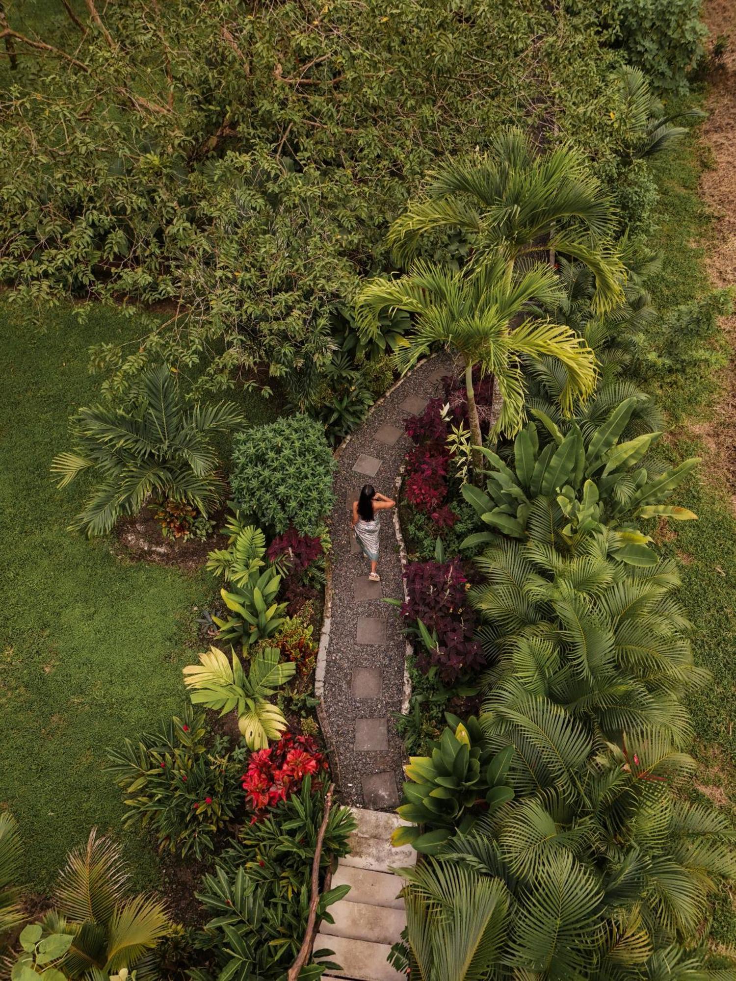 Mali'S House Hotell La Fortuna Eksteriør bilde