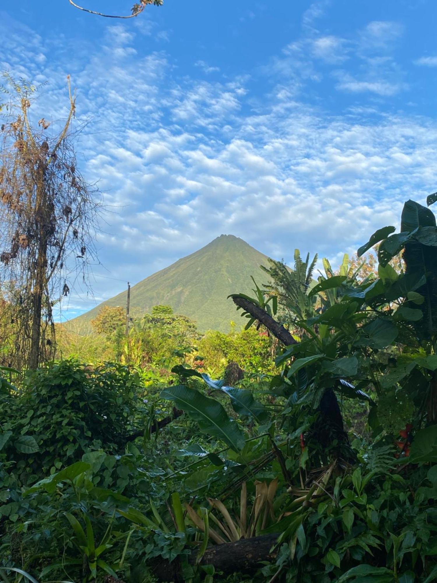 Mali'S House Hotell La Fortuna Eksteriør bilde